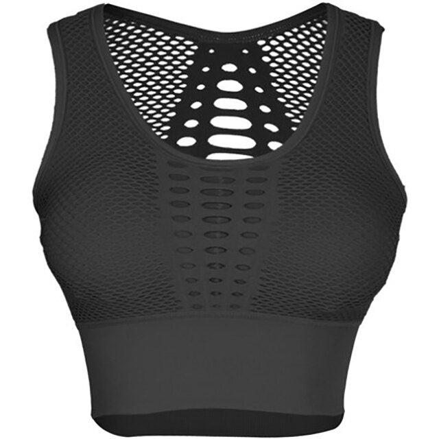 Laser Mesh Sports Bra